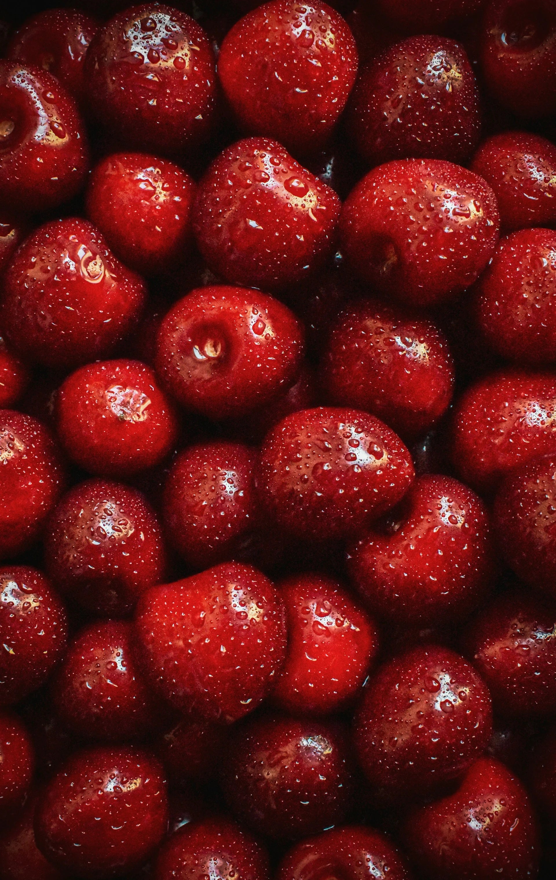 Close-up of red berries with a glossy texture