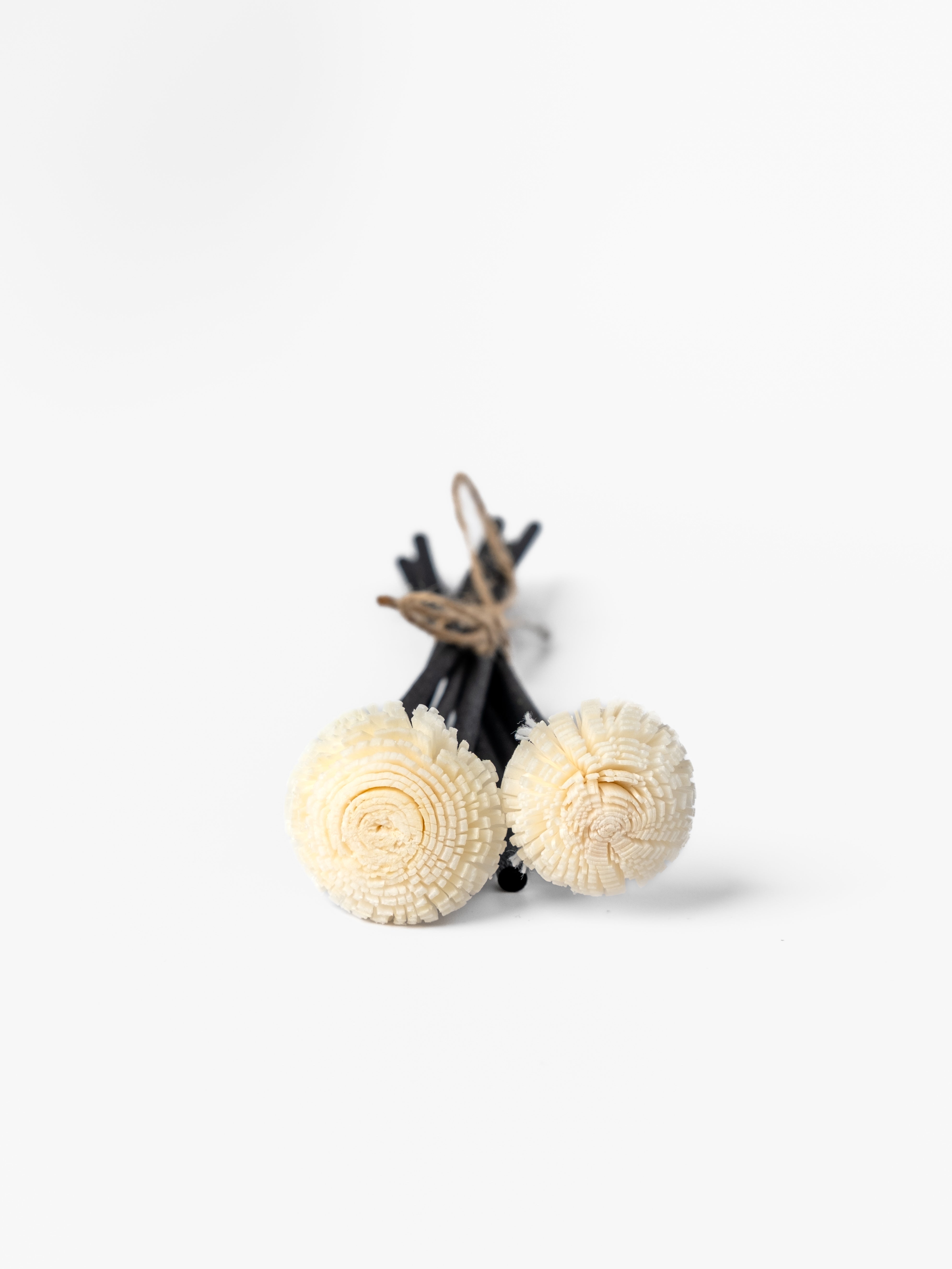 reed diffuser sticks on white background
