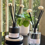 Apple Forest Reed Diffuser
