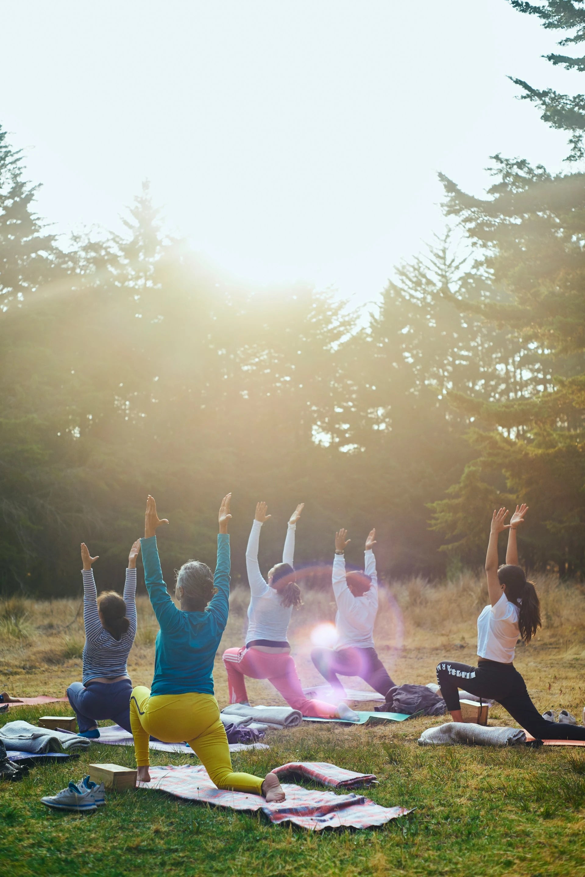 Group of people practicing yoga outdoors in a forest setting with sunlight filtering through the trees.